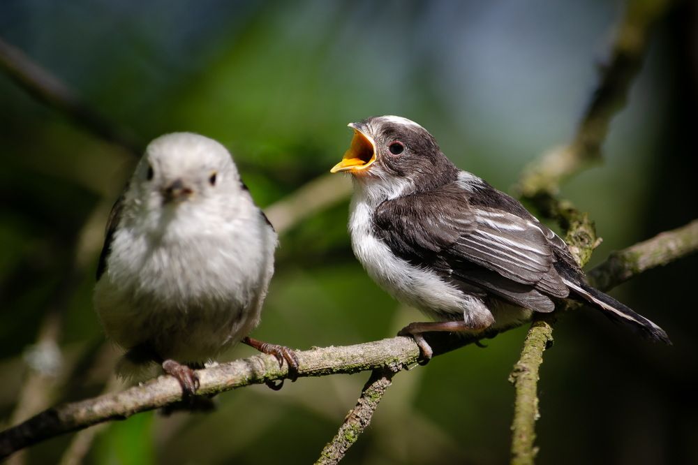 Photograph by Оксана Маховская