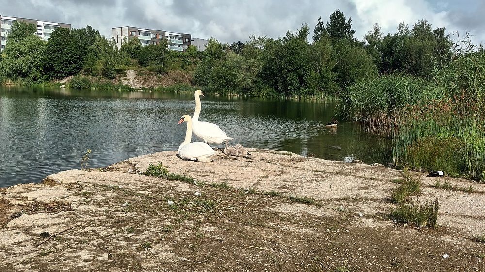 Photograph by Инна Демкив