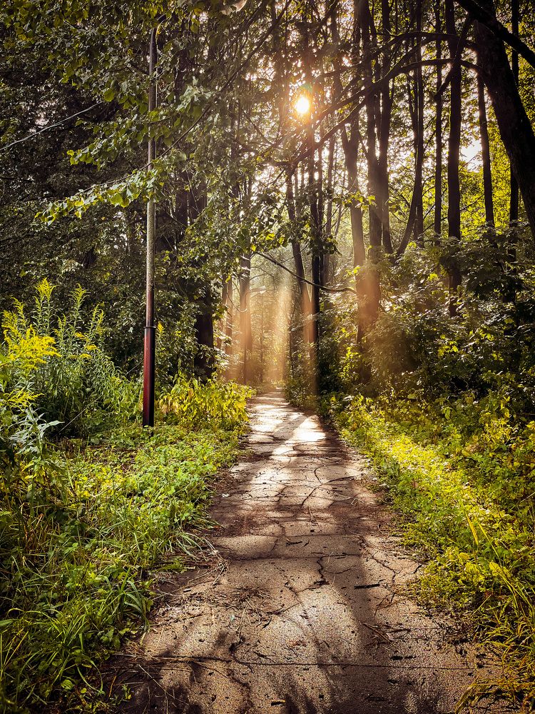 Photograph by Екатерина Нефедова