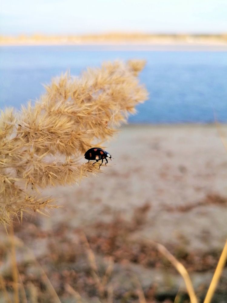 Photograph by Оксана Кабакова