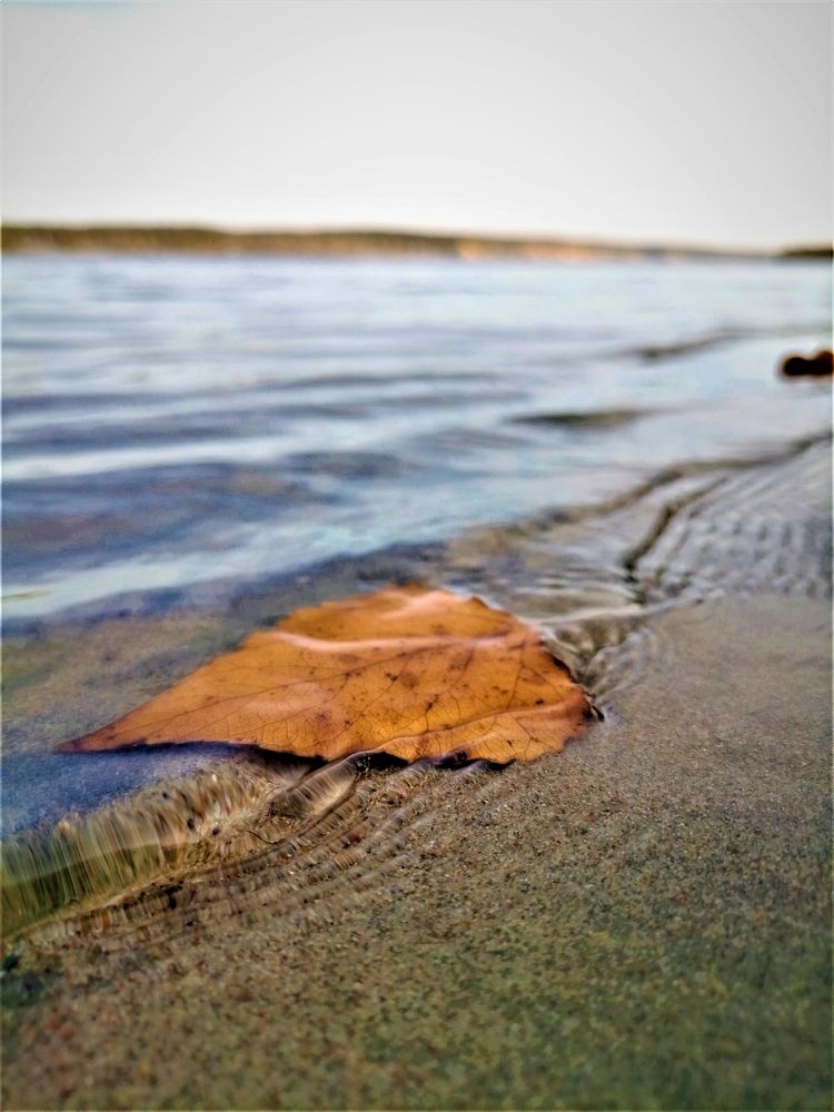 Photograph by Оксана Кабакова