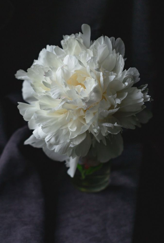 Photograph by Оксана Батракова