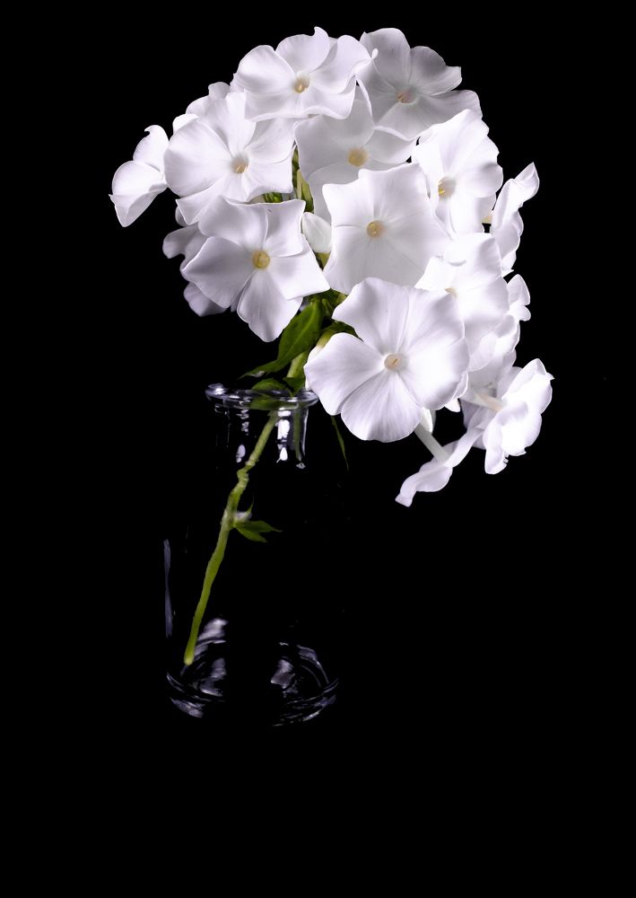 Photograph by Любовь Бусова