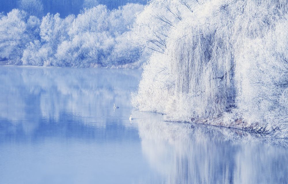 Фотография автора Александр