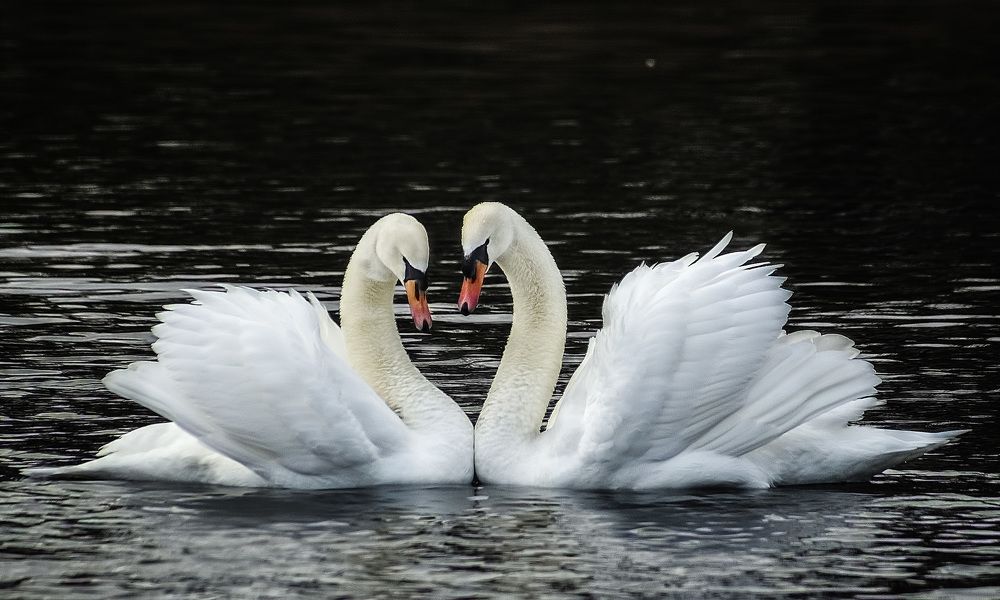 Фотография автора Александр
