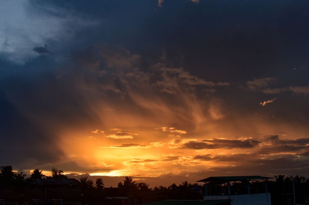 Photograph by Shreya Roy