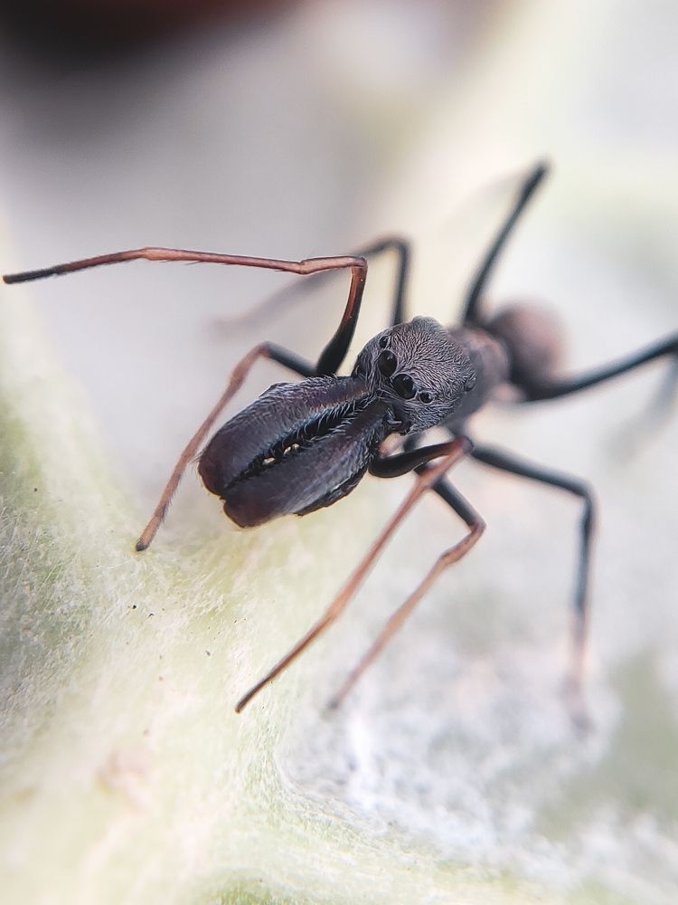 Photograph by Antaryami Das