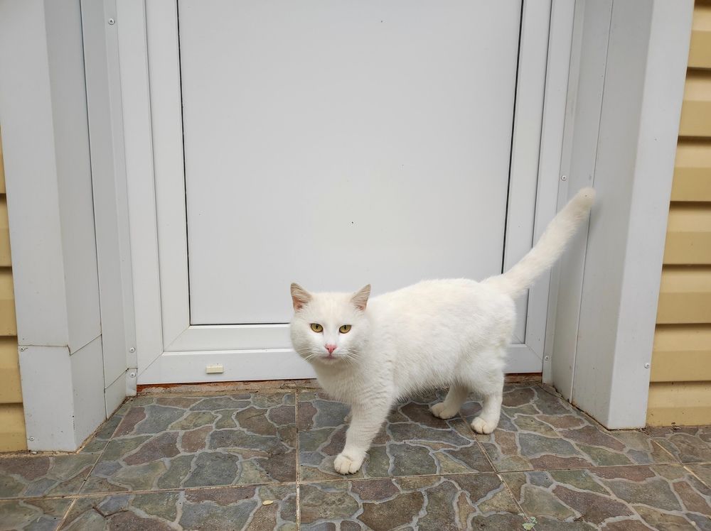 Photograph by Елена Казарина