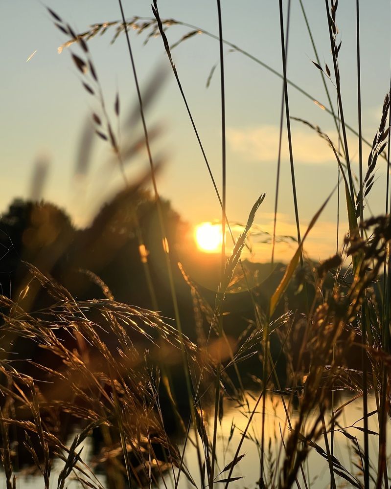 Photograph by Eugenia Schmidt