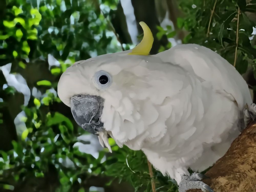 Photograph by Babak Akvan