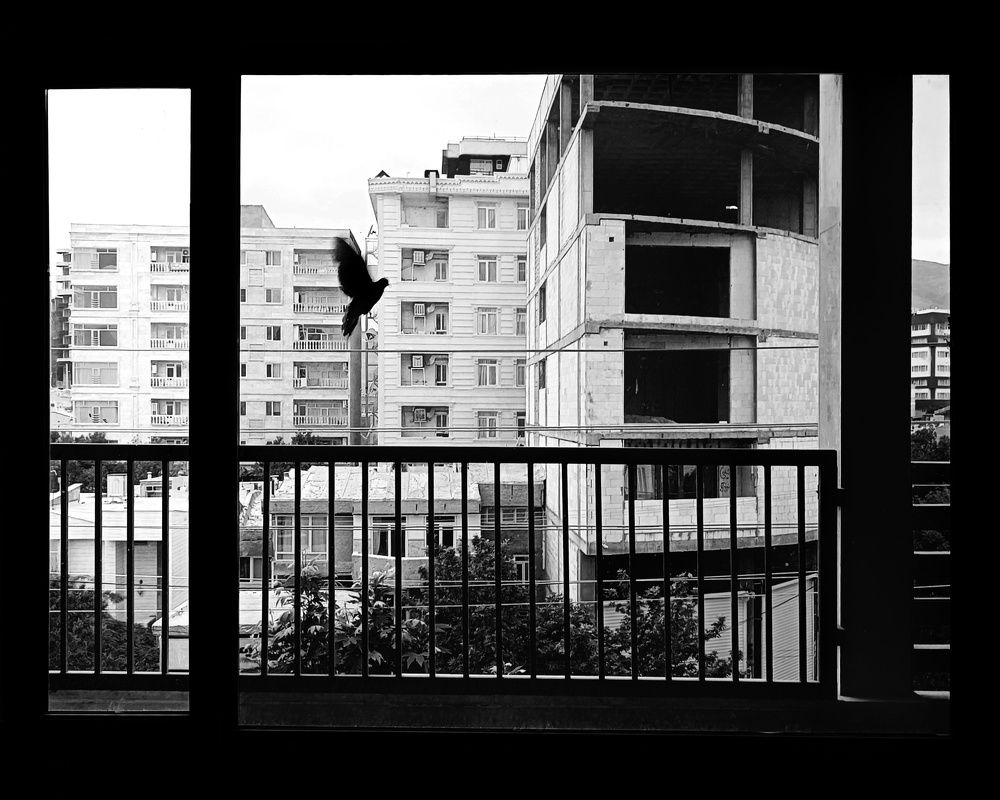 Photograph by Shamal Shakibayi