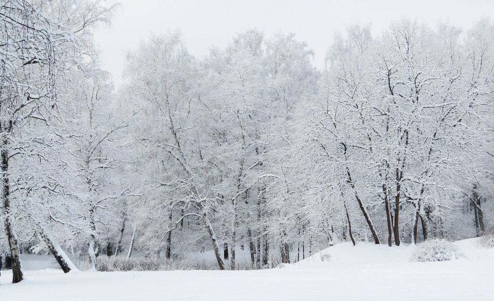 Photograph by Елена Казарина