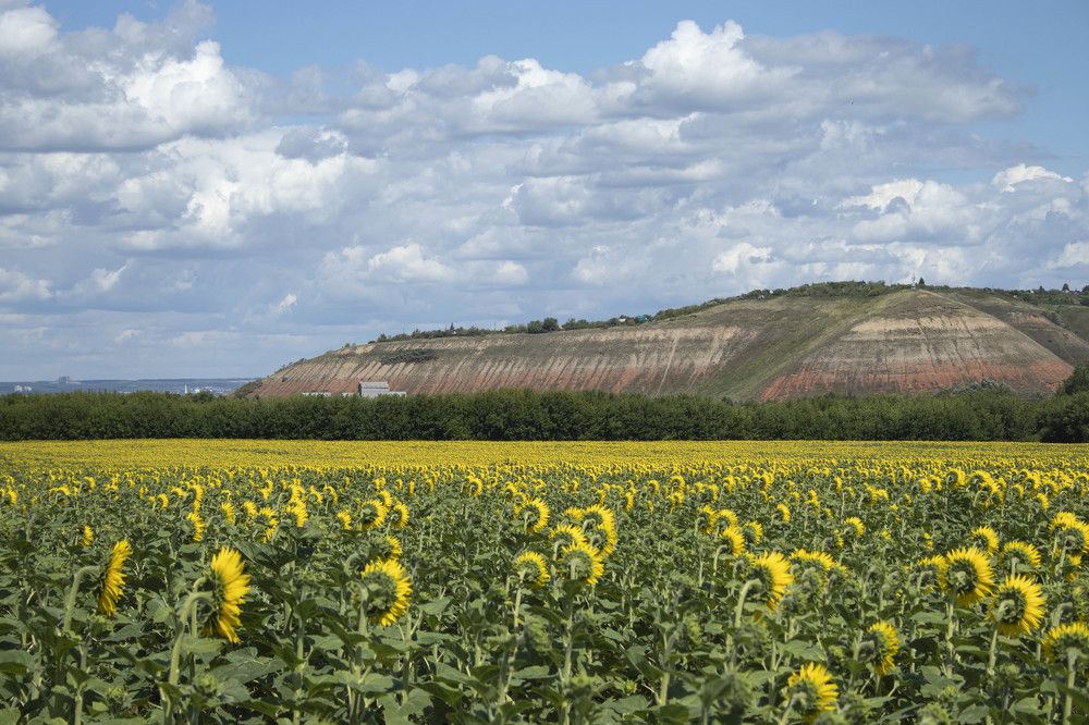 Photograph by Вера Почкалина