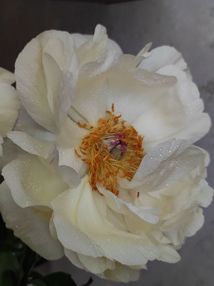 Photograph by Олеся Хижко