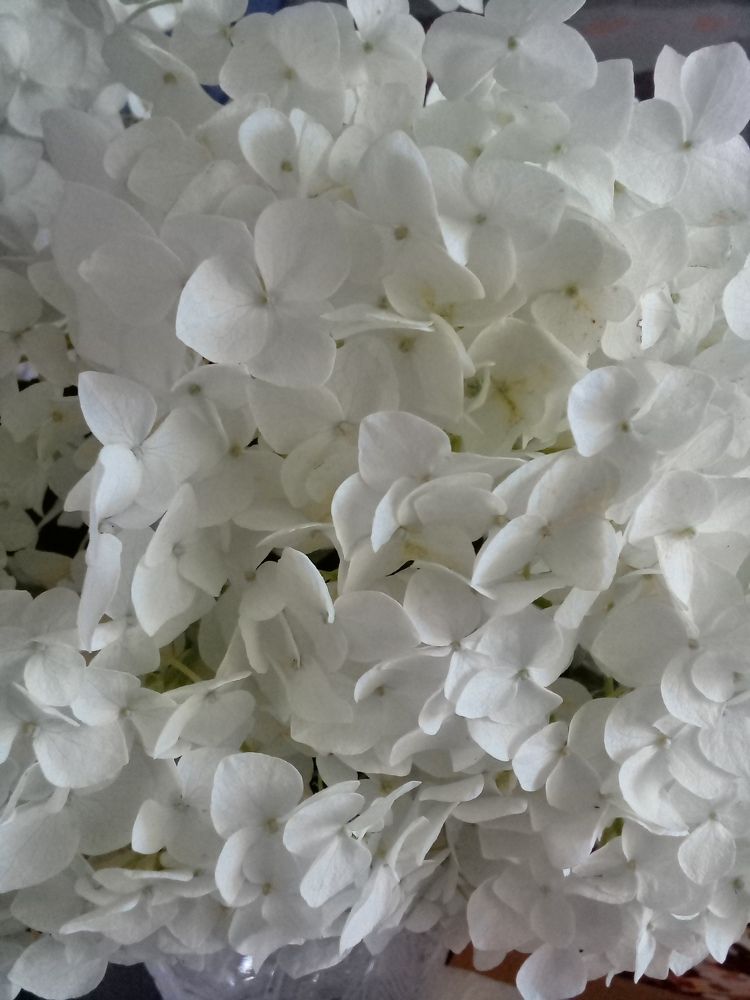 Photograph by Людмила Баглей