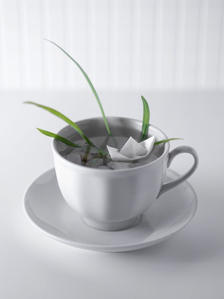 Photograph by Ольга Вороная