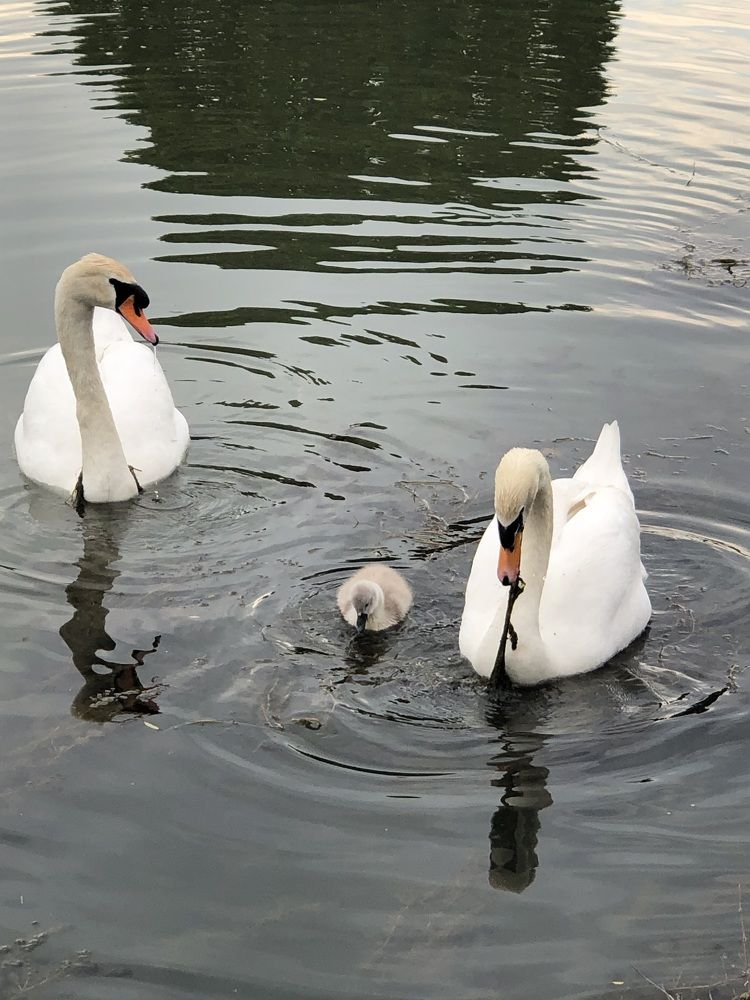 Photograph by Анастасия Куэлляр