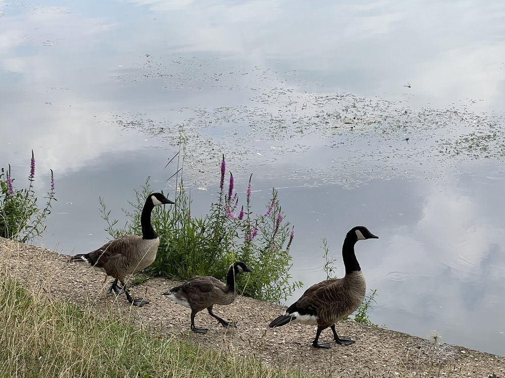 Photograph by Анастасия Куэлляр