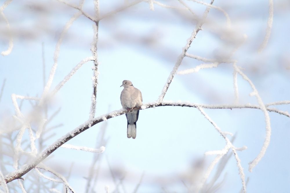 Photograph by Анна Восковых