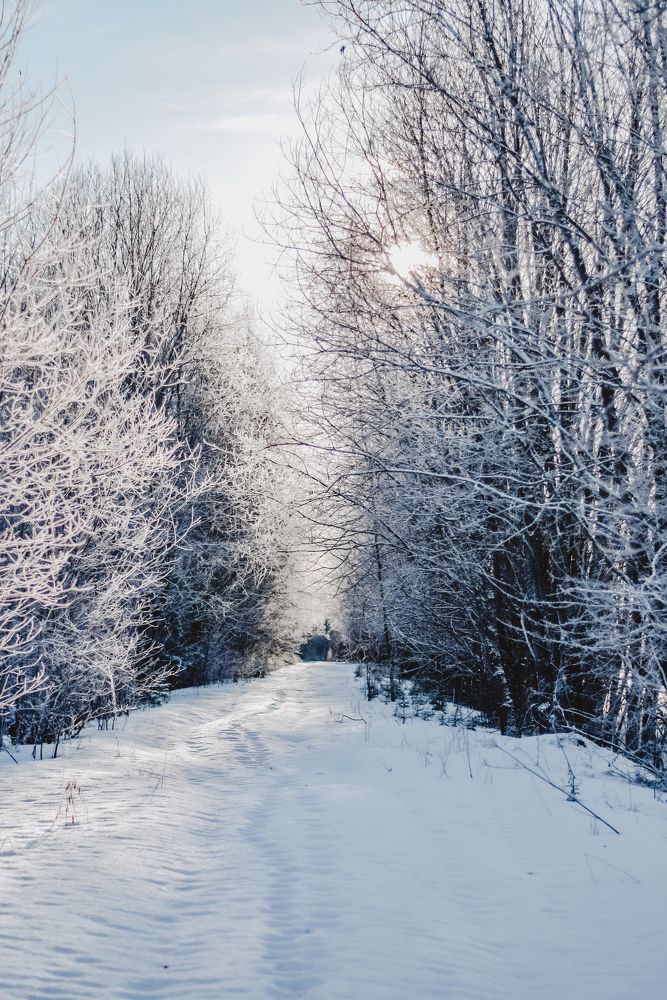 Photograph by Юлия Мулданин