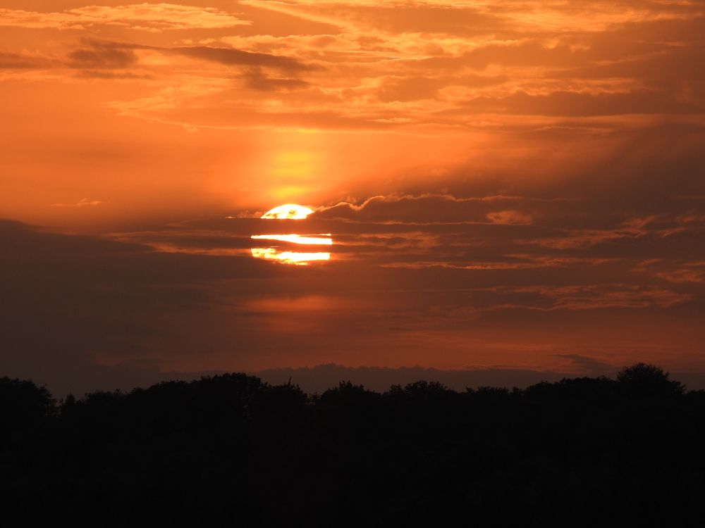 Фотография автора Grazyna Widuch