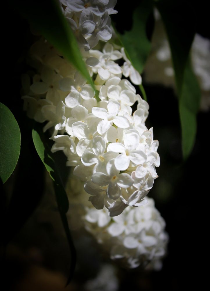 Photograph by Татьяна Сычева