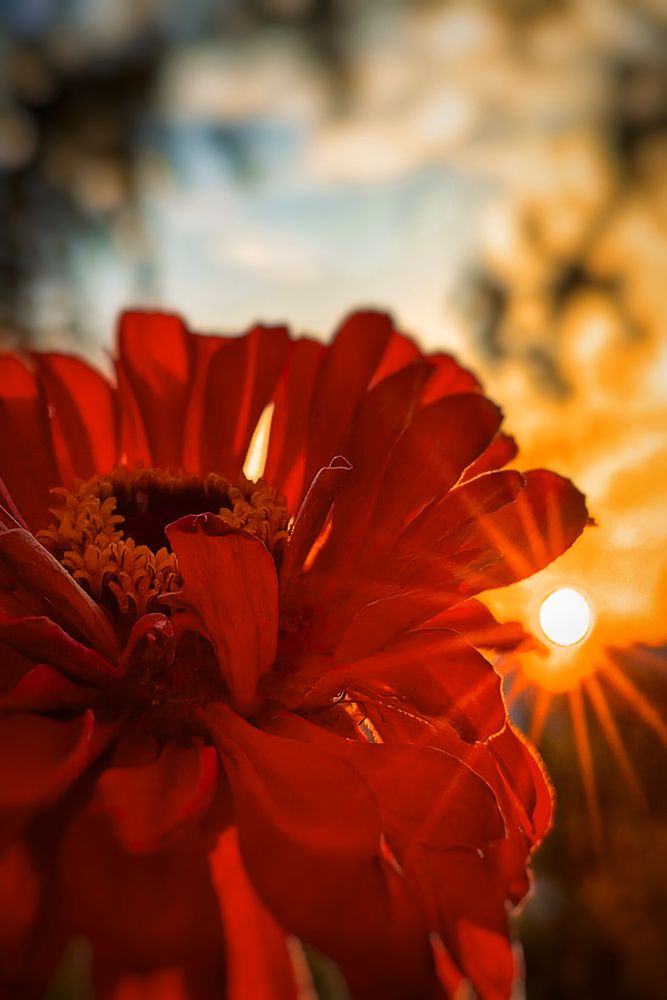 Photograph by Татьяна Бравая