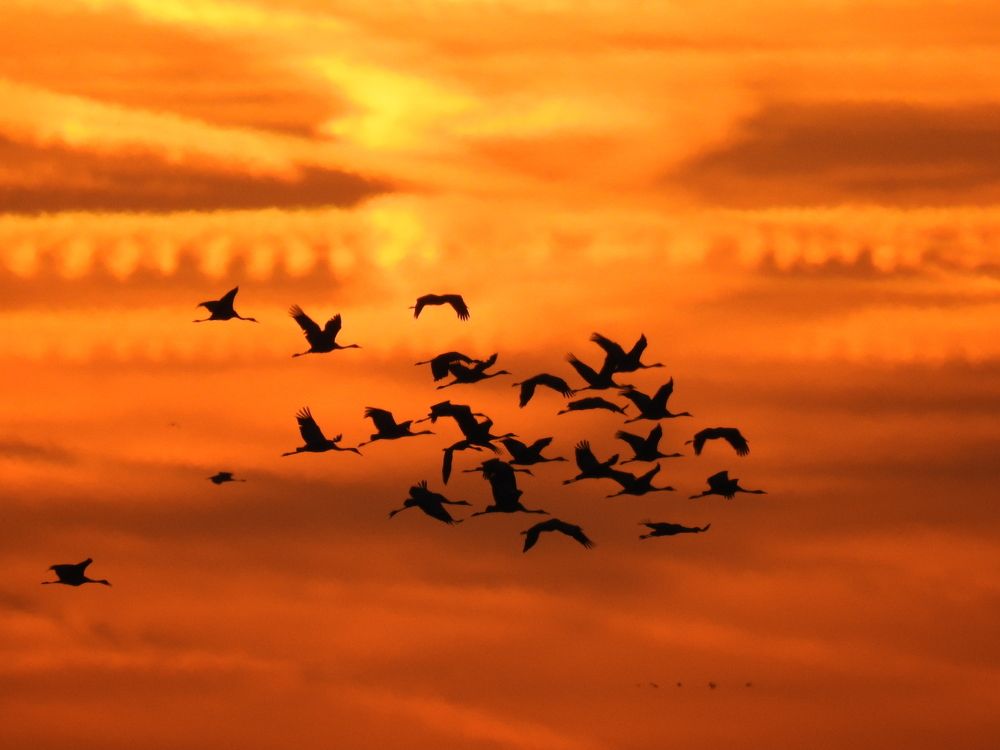 Photograph by Grazyna Widuch