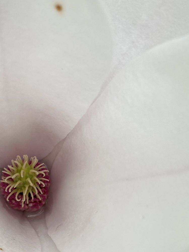 Photograph by Екатерина Балакина