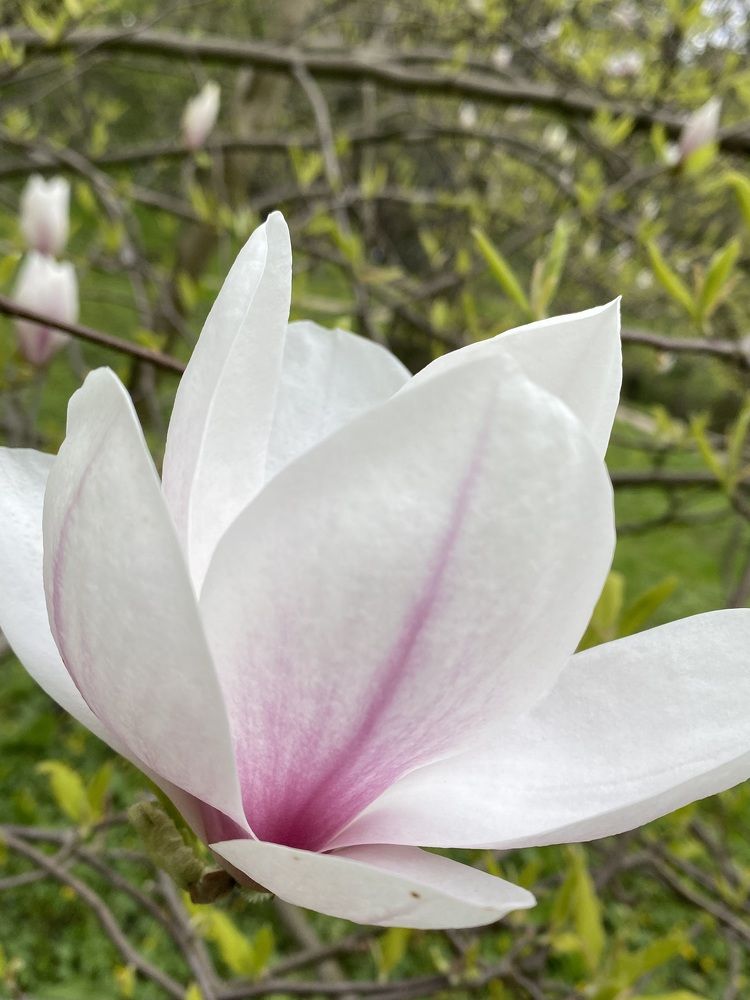 Photograph by Екатерина Балакина