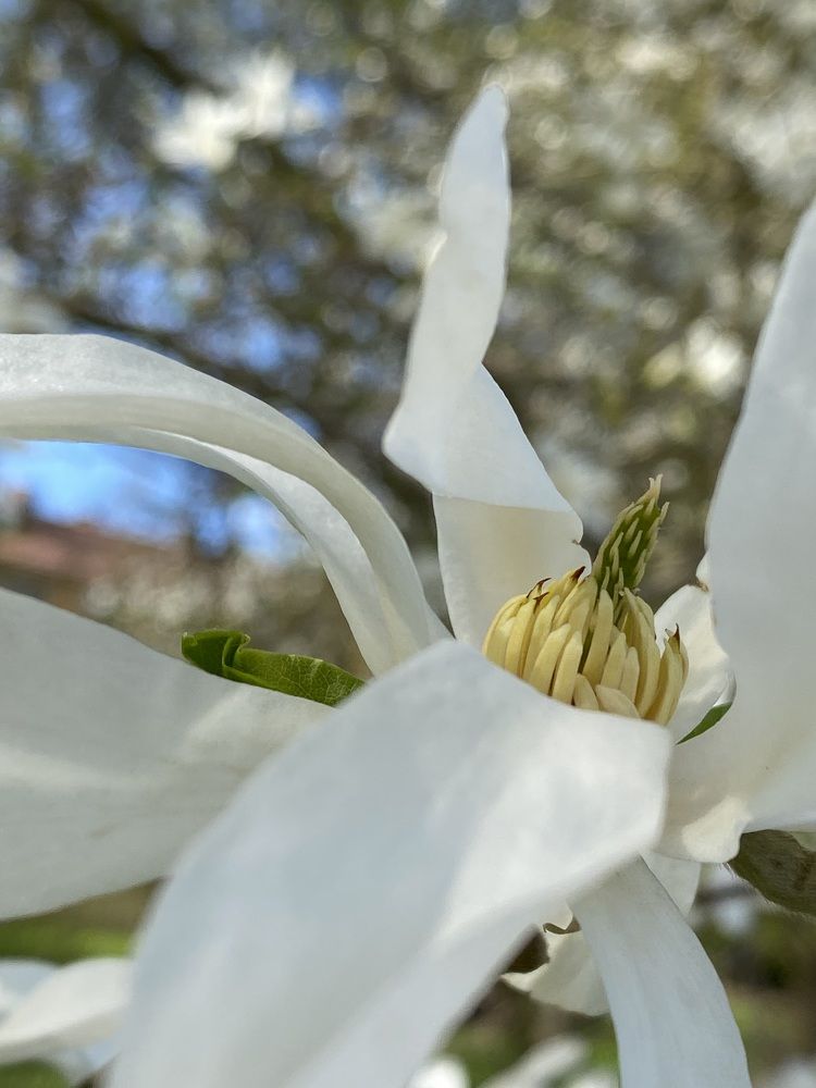 Photograph by Екатерина Балакина