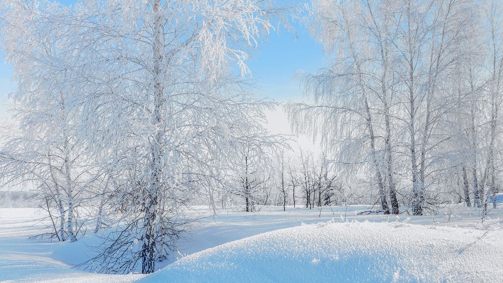 Морозное утро