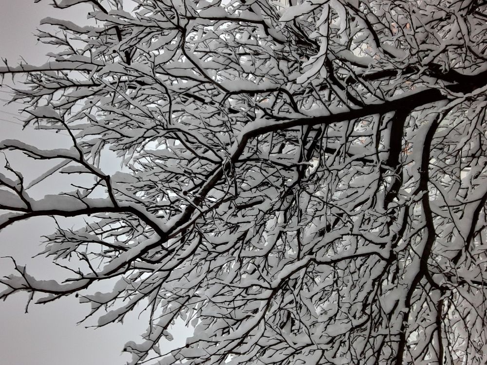 Photograph by Евгения Ульянова