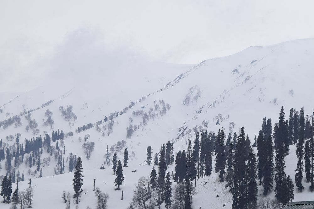 Photograph by Souvik Bhattacharyya