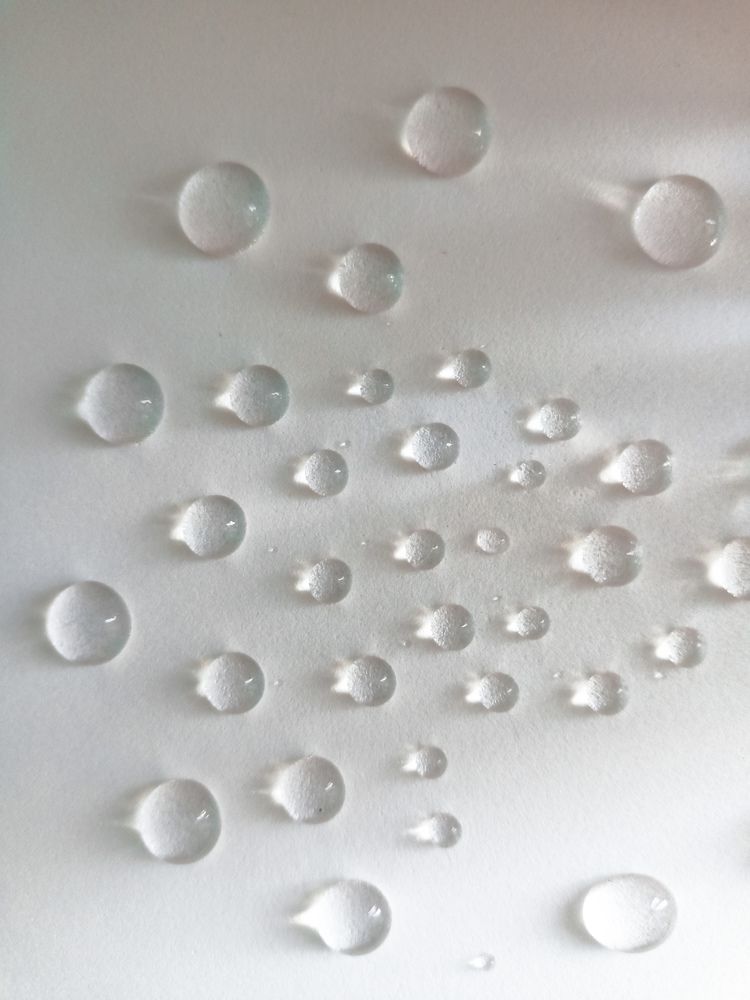 Фотография автора Татьяна Шахова