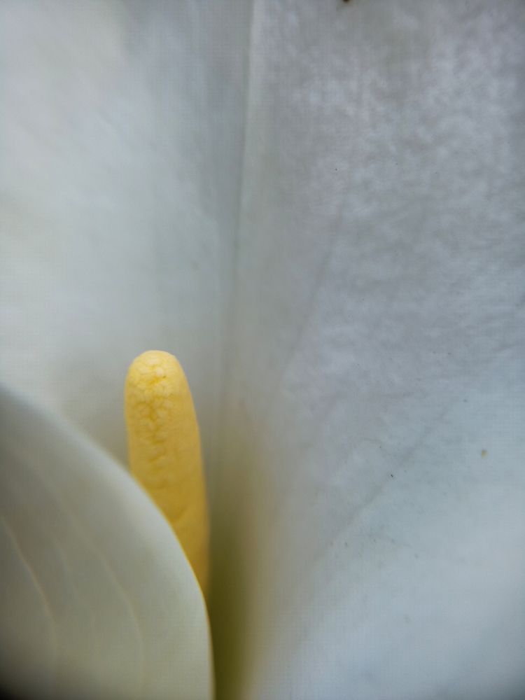 Фотография автора Татьяна Шахова