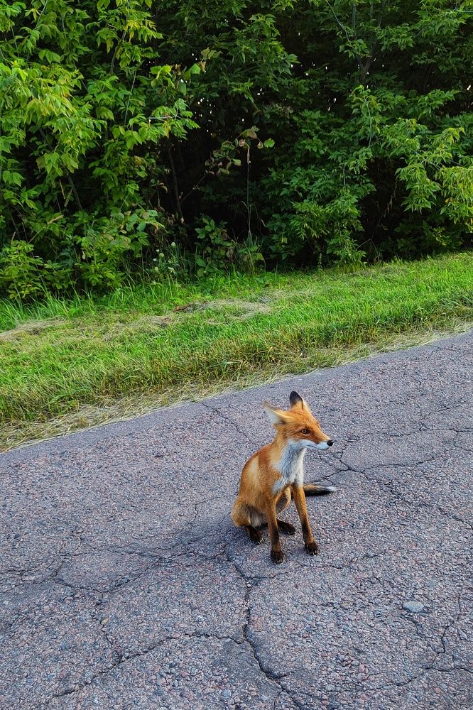 Photograph by Ольга Мельникова