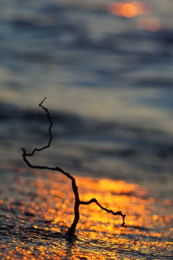 Photograph by Анастасия Скворцова