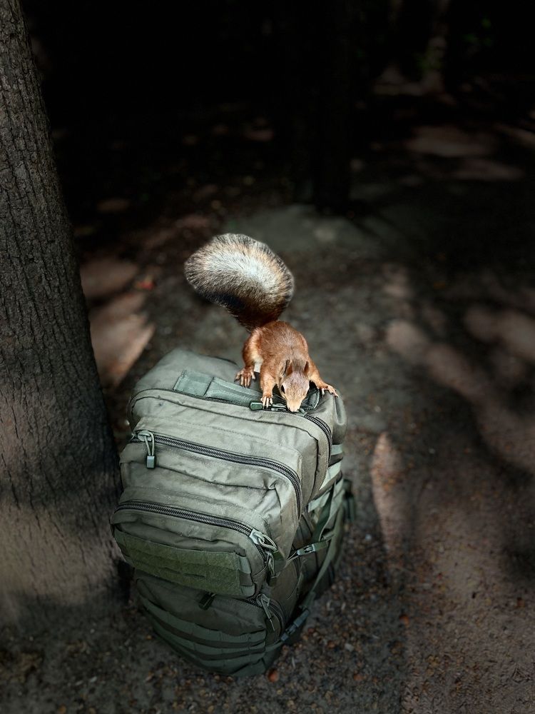 Проверка багажа