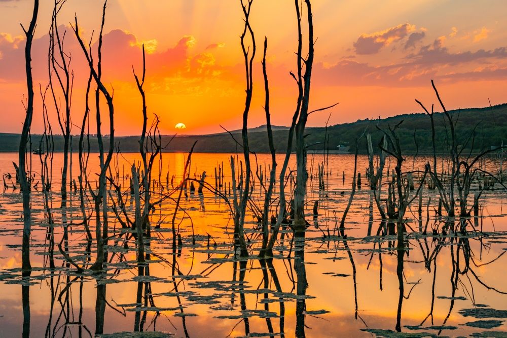 Photograph by Саша Козырев