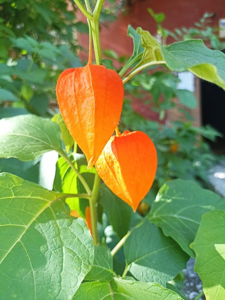 Photograph by Лиза Малыгина