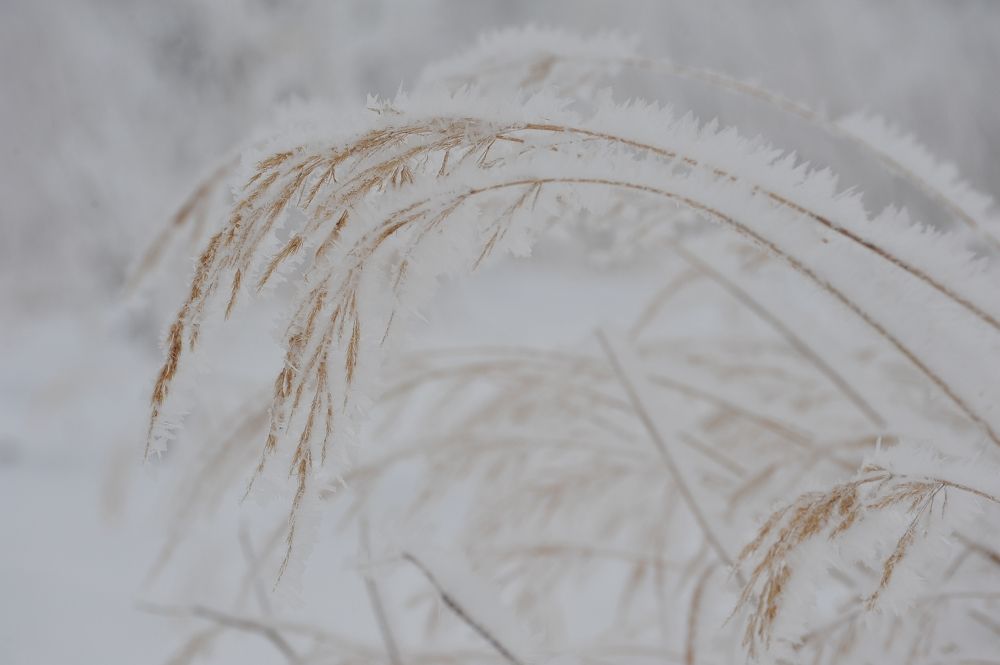 Photograph by Юрий Яковлев