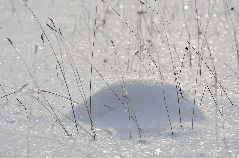 Photograph by Юрий Яковлев