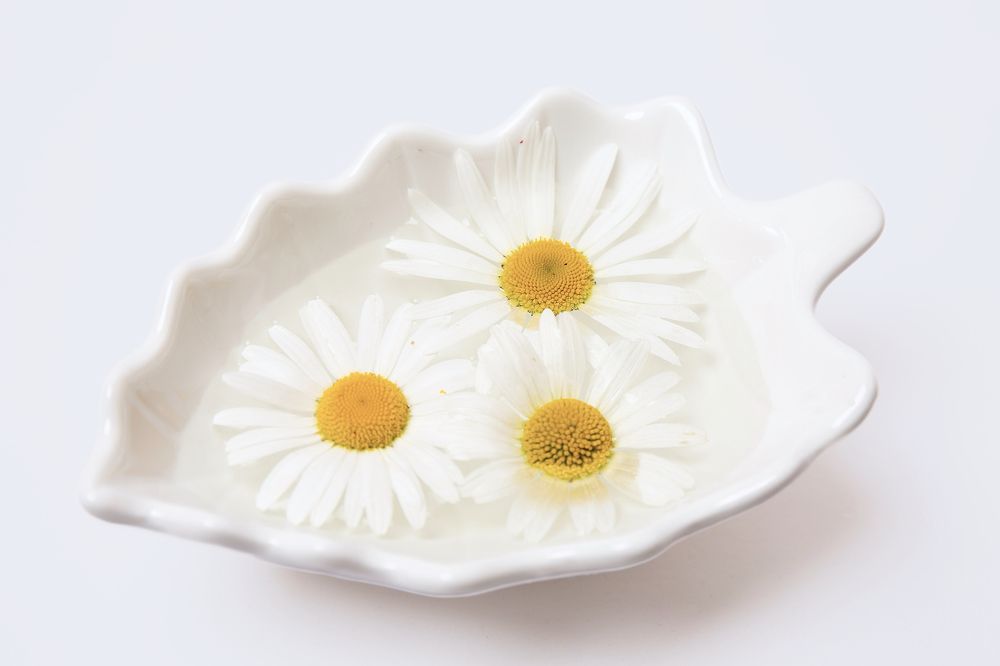 Photograph by Ксения Фёдорова