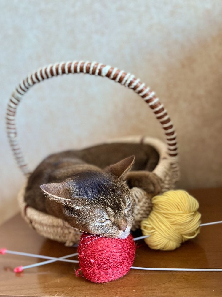 Корзинка для пряжи