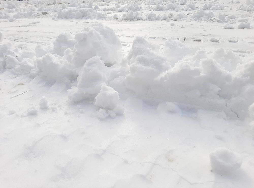 Фотография автора Светлана Дунаева