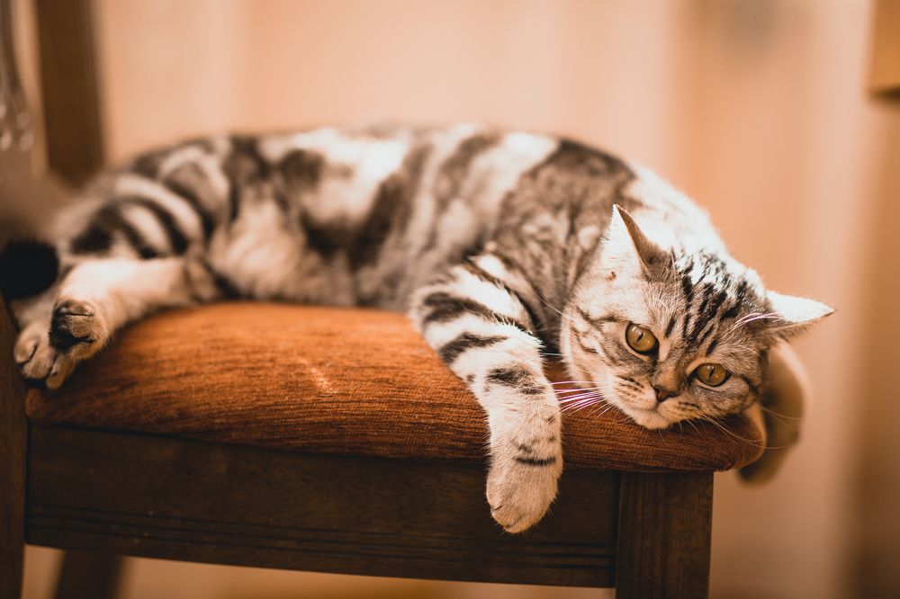 Photograph by Миля Сухарева