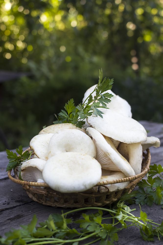 Photograph by Татьяна Шахматова