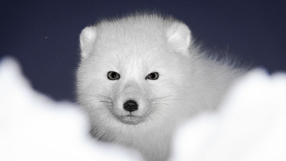 Photograph by Антон Дроздов