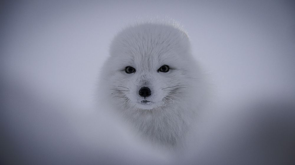 Photograph by Антон Дроздов